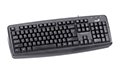 کیبورد جنیوس Genius KB-110X Wired Keyboard - PS2